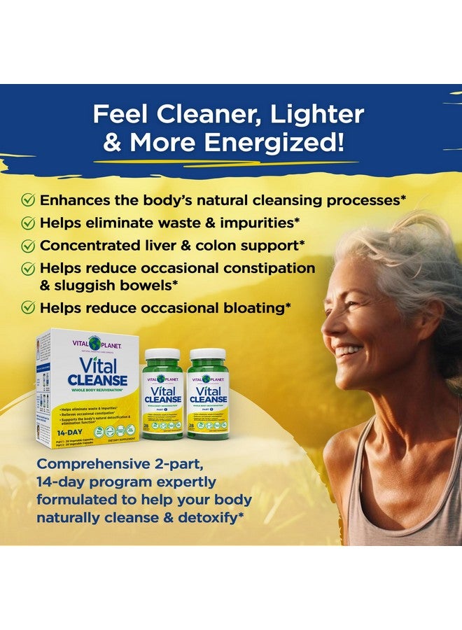 Vital Planet Vital Planet - Vital Cleanse with Milk Thistle, Magnesium, Cape Aloe and Herbs, Natural Supplement for Occasional Constipation and Healthy Elimination, 2-Part - 14 Day Kit, 56 Capsules - Image 3