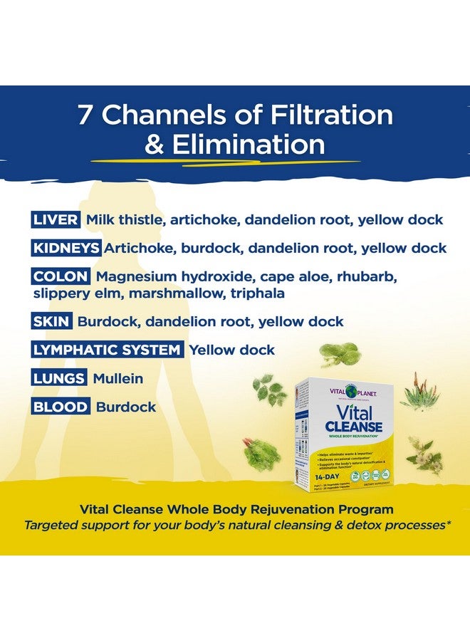 Vital Planet Vital Planet - Vital Cleanse with Milk Thistle, Magnesium, Cape Aloe and Herbs, Natural Supplement for Occasional Constipation and Healthy Elimination, 2-Part - 14 Day Kit, 56 Capsules - Image 5