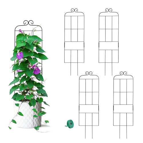 Hensal 4 Pack 31 Plant Trellis for Climbing Plants Indoor Outdoor Metal Trellis for Potted Plants Plant Support for Houseplant Vines Pothos Rose Ivy and Flowers Black - Image 1