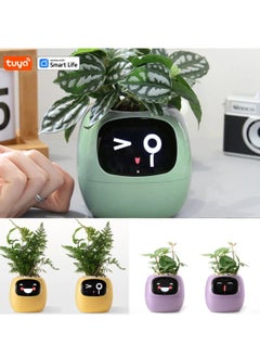 EVEREEN Tuya Ivy Smart Planter,Endless Fun Over 49 Rich Expressions,7 smart sensors,AI Chips Make Raising Plants Easy and Fun(Yellow)  - Image 3