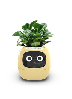 EVEREEN Tuya Ivy Smart Planter,Endless Fun Over 49 Rich Expressions,7 smart sensors,AI Chips Make Raising Plants Easy and Fun(Yellow)  - Image 2