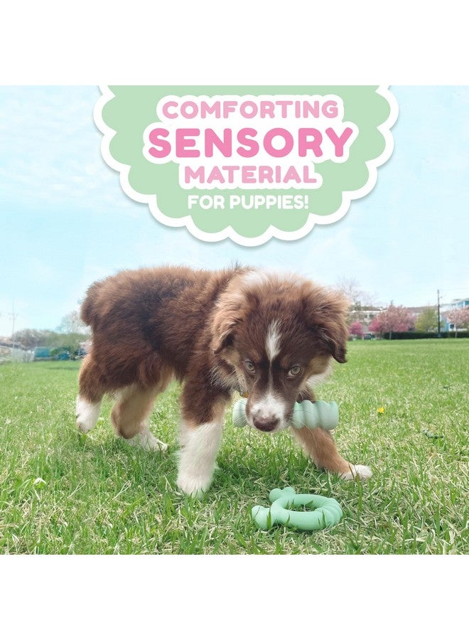 Nylabone Sensory Material Puppy Chew Toy Ring  Puppy Teething Toy For Boredom & Stimulation  Puppy Supplies  Chicken Flavor, Small/Regular (1 Count) - Image 3