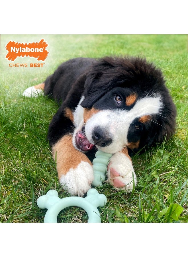 Nylabone Sensory Material Puppy Chew Toy Ring  Puppy Teething Toy For Boredom & Stimulation  Puppy Supplies  Chicken Flavor, Small/Regular (1 Count) - Image 5
