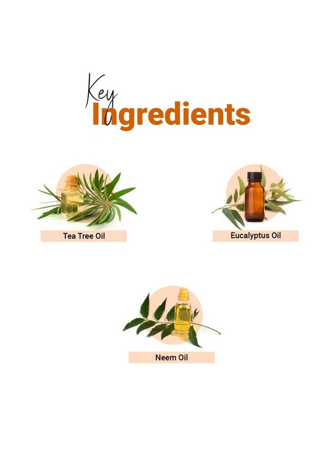 Vedic Line Vedic line Pedicure Spa Kit | Infused with Tea Tree Oil, Eucalyptus Oil & Neem Oil | Promotes Freshness, Soothes Tired Feet, and Nourishes Skin | Ideal for Home Spa Experience (Pack of 2), 72 * 2ml  - Image 3