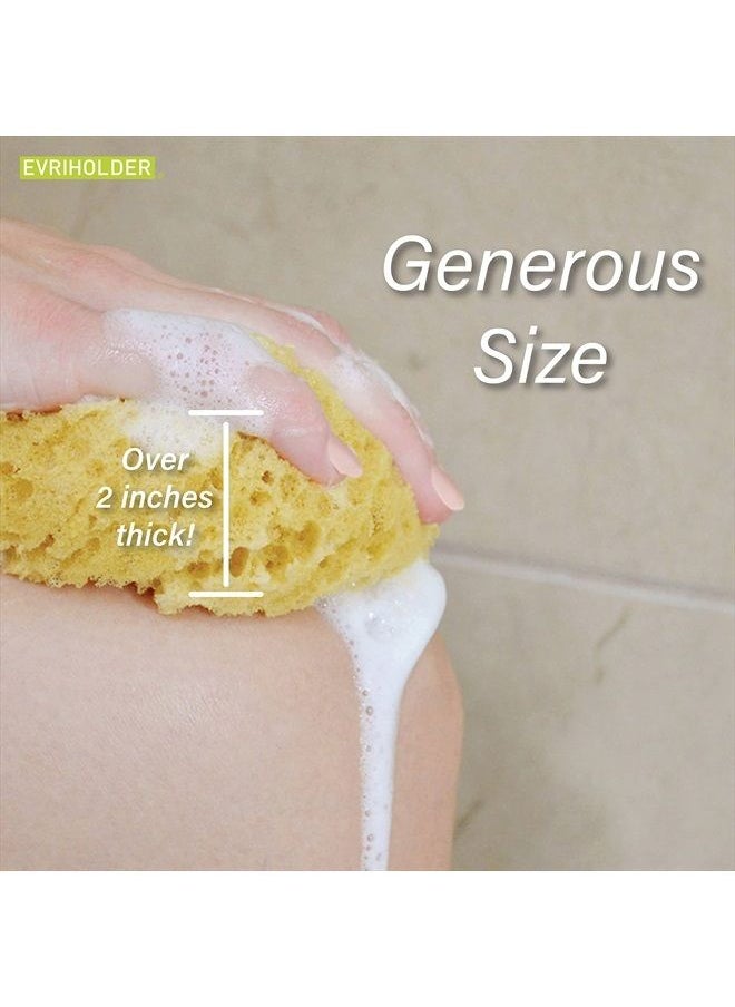 EvriHolder Foam Body Sponge for Exfoliating Large Scrubber for a Relaxing Shower or Bath, Pack of 2  - Image 5