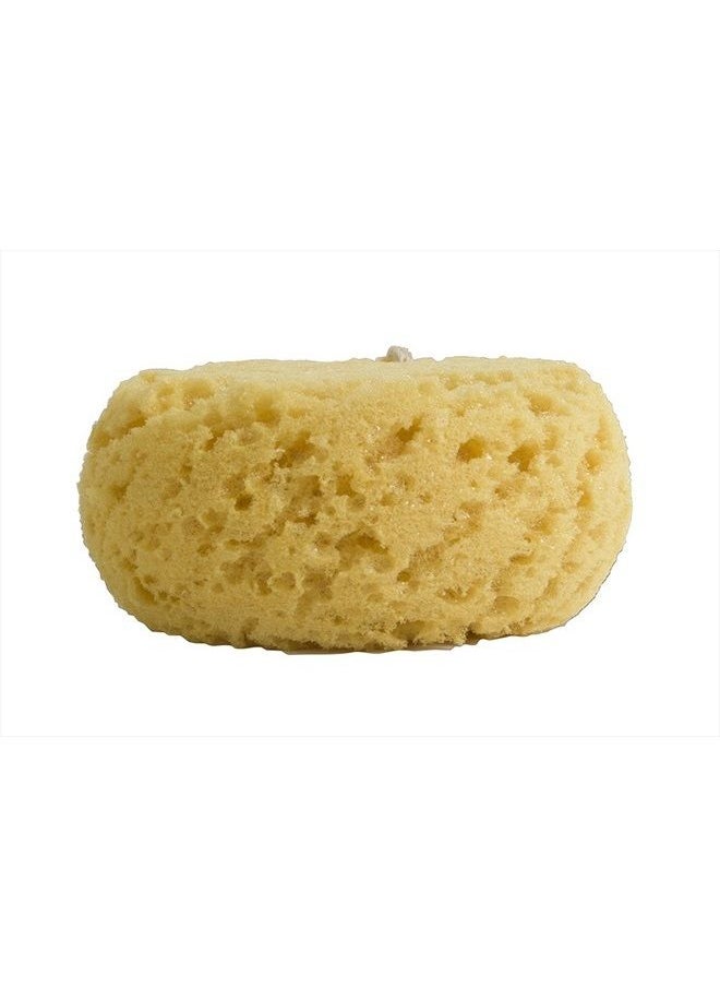 EvriHolder Foam Body Sponge for Exfoliating Large Scrubber for a Relaxing Shower or Bath, Pack of 2  - Image 2
