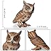 DOYIFUN Simulated Owl Model Figure Toy Realistic Owl Animal Figurines Collection Playset Home Decor Science Educational Props Toys - Image 2