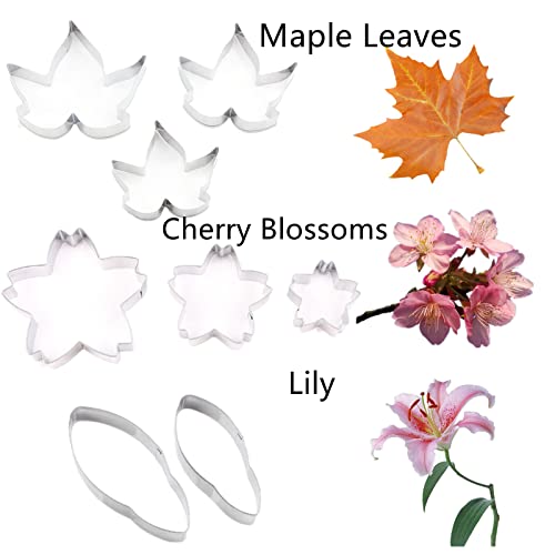 Colorkitchenware 42Pcs Stainless Steel Gum Paste Flower Cutter Set Fondant Flower Cutter Gumpaste Flower Molds Sugarcraft Flower Making Tool for Wedding,Birthday Cake Decorating - Image 5