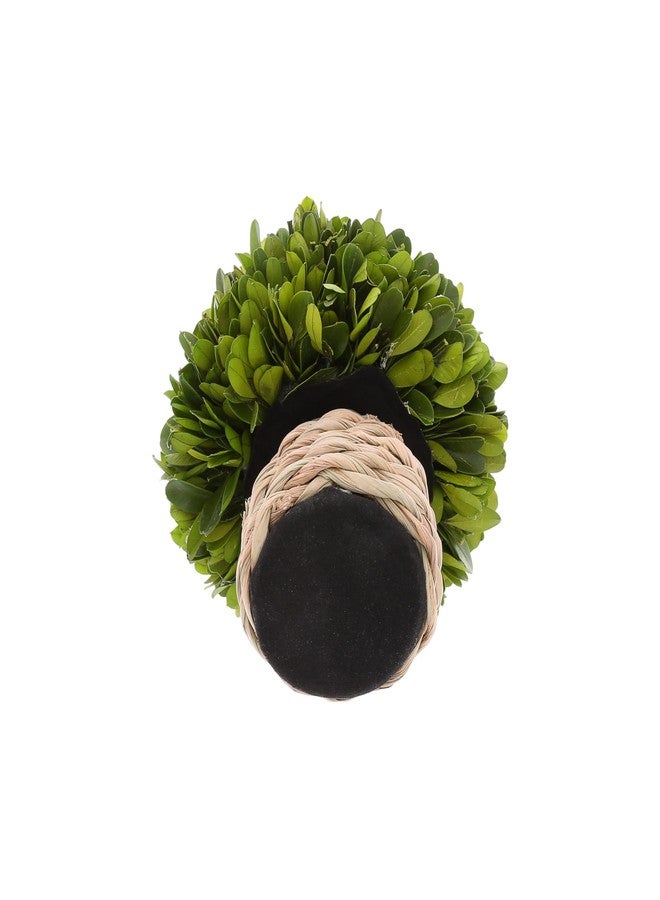 شركة بافيليون جيفت شركة بافيليون للهدايا - ديكور نباتي من خشب البقس المحفوظ، أعشاب بحرية، 6 بوصات، على شكل فطر - Image 3