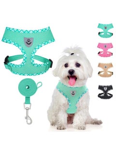 BINGPET Adjustable Dog Vest Harness and Leash Set,No Pull & No Choke Reflective Dog Harness with Padded,Lightweight All Weather Step-in Mesh Breathable Vest Harness for Small and Medium Dogs(Green,S)  - Image 1