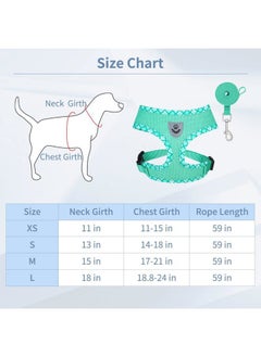 BINGPET Adjustable Dog Vest Harness and Leash Set,No Pull & No Choke Reflective Dog Harness with Padded,Lightweight All Weather Step-in Mesh Breathable Vest Harness for Small and Medium Dogs(Green,S)  - Image 4
