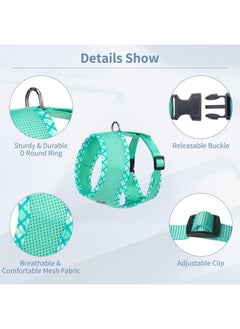 BINGPET Adjustable Dog Vest Harness and Leash Set,No Pull & No Choke Reflective Dog Harness with Padded,Lightweight All Weather Step-in Mesh Breathable Vest Harness for Small and Medium Dogs(Green,S)  - Image 3