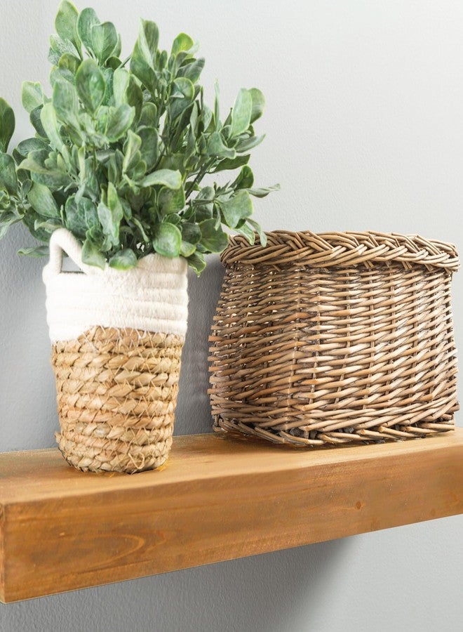 فاراثان صبغة فاراثان راست-أوليوم 211793، لون البلوط الذهبي، نصف لتر، ذهبي - Image 3