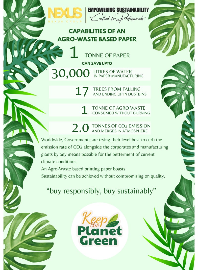 Trident Ecofriendly Trident's Spectra A4 80 GSM | 1 Carton (5 Ream x 500 Sheets) Copy Paper - An Agro Based Product - Image 3