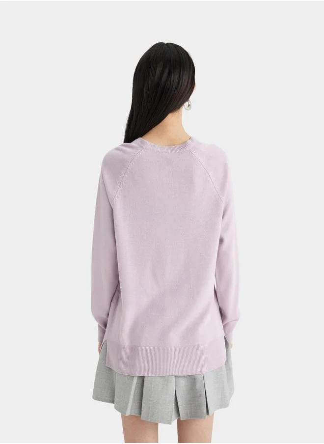 DeFacto Solid Raglan Sleeve Regular Fit Sweater by Styli