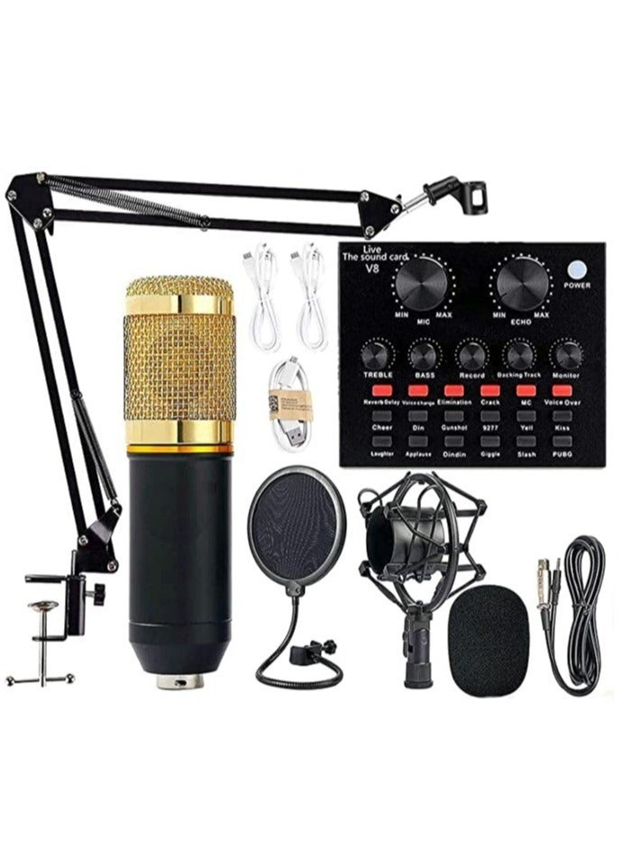 ELTRAZONE V8 Sound Card With Bm-800 Condenser Microphone Mic Kit with Live Sound Card, Adjustable Mic Suspension Scissor Arm, Metal Shock Mount and Double-Layer - Image 1