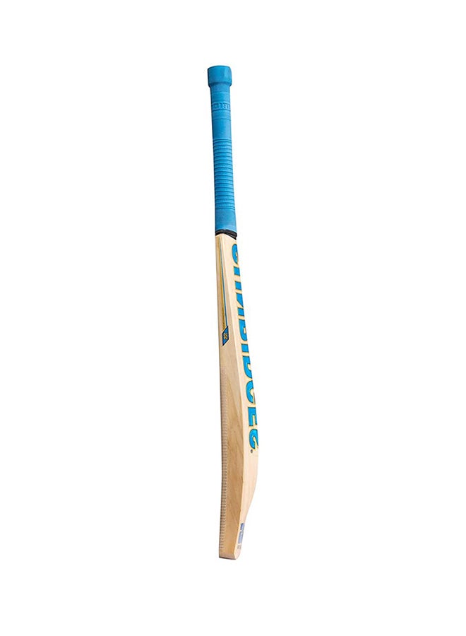 SS Vintage Bolt Kashmir Willow Cricket Bats - Image 5