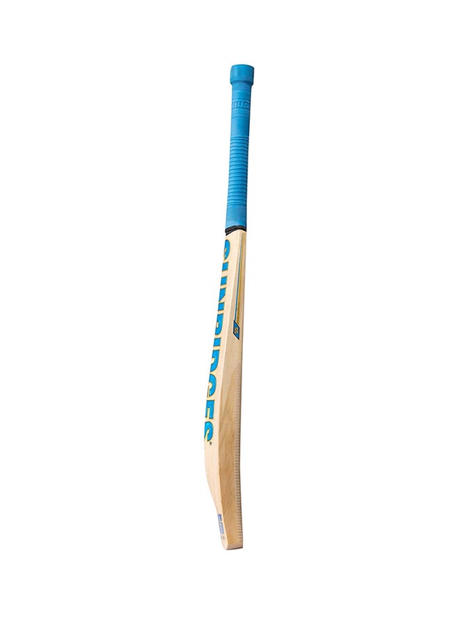 SS Vintage Bolt Kashmir Willow Cricket Bats - Image 4