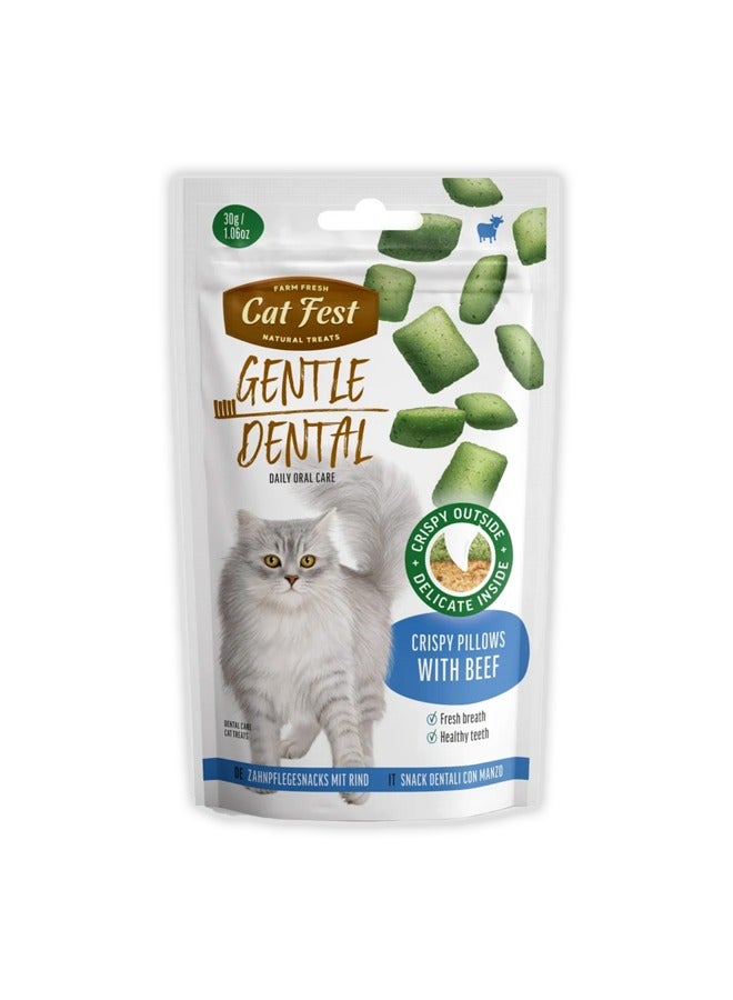 كات فيست وسائد مقرمشة لطيفة للأسنان بنكهة اللحم البقري - 30 غرام - Image 1