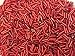 Golden Leaf Czech Bugle Beads 40 gr 14 oz Ruby Red Glass Tube Size 3 7mm Perfect for Christmas Crafts Xmas - Image 2