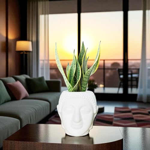 Go Hooked Buddha Pot Plastic White Flower Pot/Plant Pots for Home Decor, Washroom and Office Decor (Set of 1) - Image 1