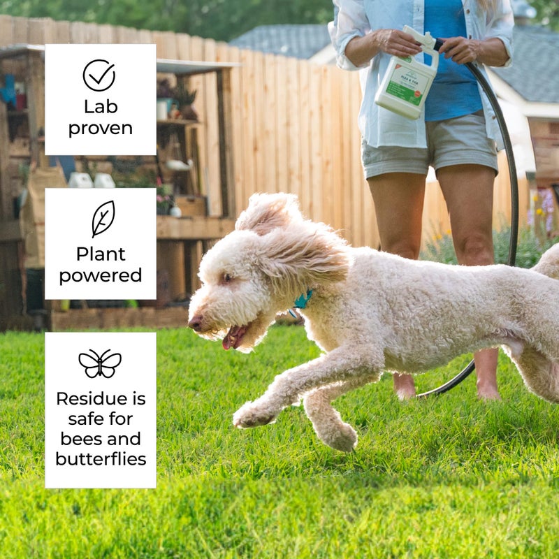 wondercide وندرسايد - رذاذ جاهز للاستخدام لطرد البراغيث والقراد والبعوض مع زيوت طبيعية أساسية - قاتل الحشرات والبعوض، علاج وطارد - نباتي - آمن حول الحيوانات الأليفة والنباتات والأطفال - 32 أونصة - Image 5