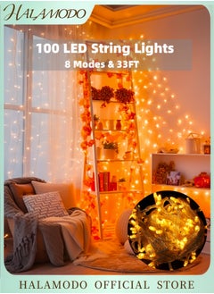 10m / 100 LED Lights