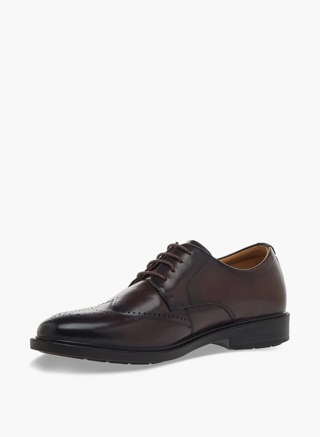 Duchini BROWN Men Lace-Up Leather Derby Shoes for Men | Best Price UAE