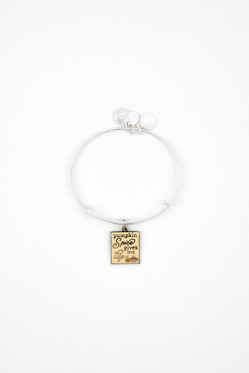 ALEX AND ANI Women Stainless Steel Charms Bracelets, Silver  - Image 2