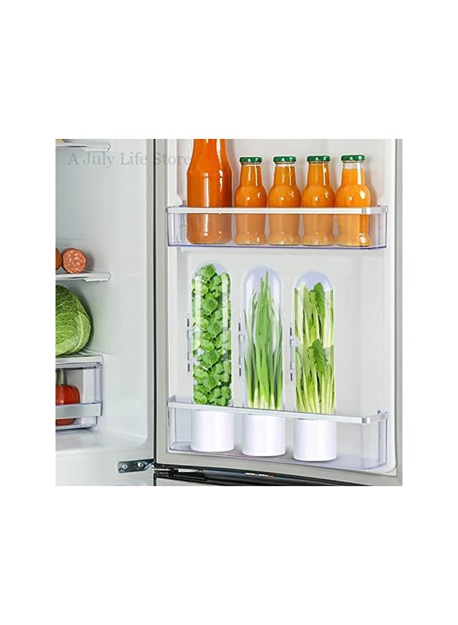 U-HOOME حافظ الأعشاب، U-HOOME لحفظ الأعشاب الطازجة في المطبخ، حاوية تخزين الأعشاب للكزبرة، النعناع، البقدونس، الهليون، تحافظ على الخضروات طازجة لمدة 2-3 أسابيع - Image 4