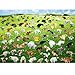 VOLUVOLU 1000 Pieces Puzzles for Adults Pooping Puppies Puzzle Dogs Jigsaw Puzzles 1000 Pieces Funny Gifts for Dog Lovers Friends Perfect White Elephant Gag Gift Dog Puzzle as Funny Home Party Decorations - Image 2