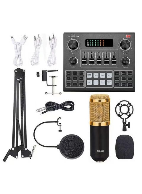 V9 Sound Card & BM800 Pro Microphone Bundle for Advanced Broadcasting,Bluetooth Sound Mixer Live Sound Card For Live Broadcast Streaming and Games