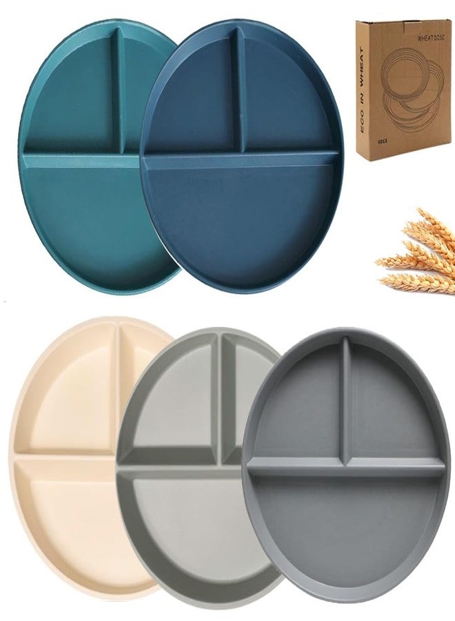 LRUUIDDE Unbreakable Divided Dinner Plate Set of 5, Wheat Straw Plates BPA Free 9 Inch, Portion Control Plate Healthy Eating & Bariatric Diet Divided Plates, Dinner Diet Plates for Kids - Image 1