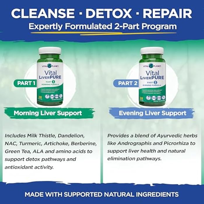 Vital Planet – Vital Liver Pure Liver Cleanse Detox & Repair with Milk Thistle, NAC Supplement N-Acetyl Cysteine, Andrographis, Dandelion, Turmeric, Alpha Lipoic Acid, 2-Part 14-Day Kit, 56 Capsules - Image 4