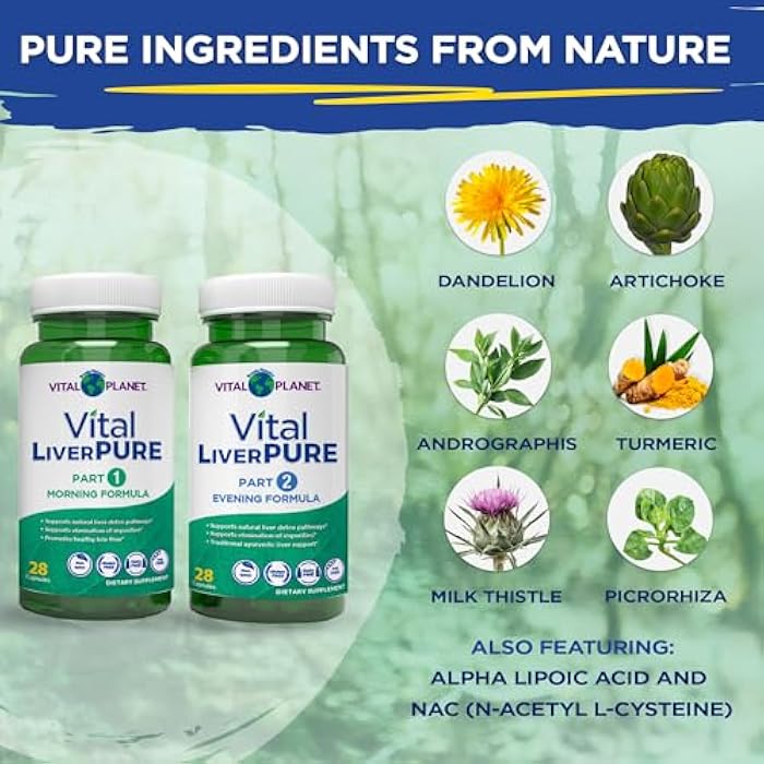 Vital Planet – Vital Liver Pure Liver Cleanse Detox & Repair with Milk Thistle, NAC Supplement N-Acetyl Cysteine, Andrographis, Dandelion, Turmeric, Alpha Lipoic Acid, 2-Part 14-Day Kit, 56 Capsules - Image 3