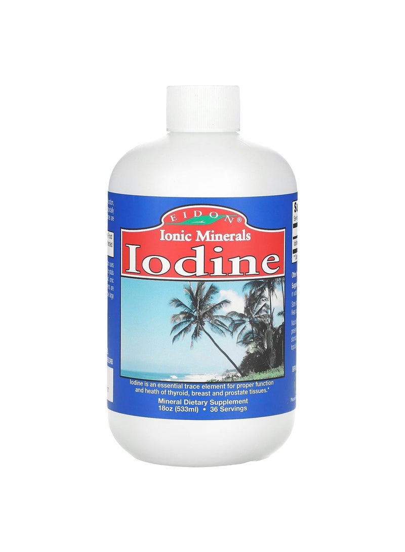 Ionic Minerals, Iodine, 18 oz (533 ml)