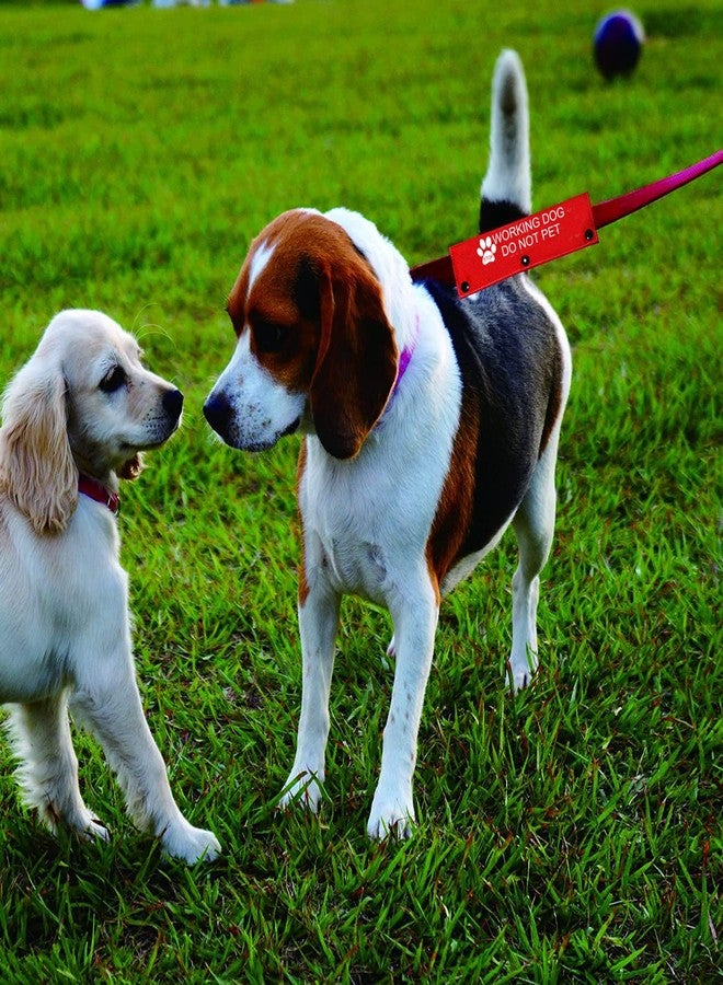 BLUPARK Funny Dog Leash Sleeve - Working Dog Do Not Pet Leash Wrap Alert Hanging ID Patch Tag Pet Birthday Gift - Image 4