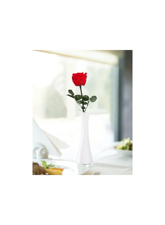 The Bros Preserved Rose, Preserved Flowers for Delivery Prime, Single Rose Womens Gifts for Christmas, Real Rose Gifts for Her, Birthday Gifts, Valentines Flowers for Girlfriend - Red Rose - Image 3