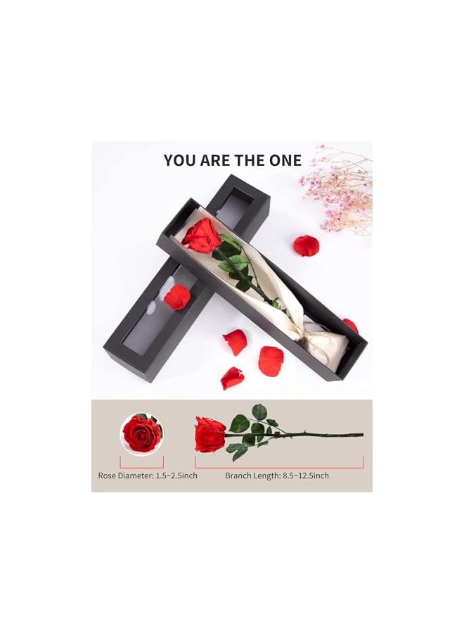 The Bros Preserved Rose, Preserved Flowers for Delivery Prime, Single Rose Womens Gifts for Christmas, Real Rose Gifts for Her, Birthday Gifts, Valentines Flowers for Girlfriend - Red Rose - Image 2