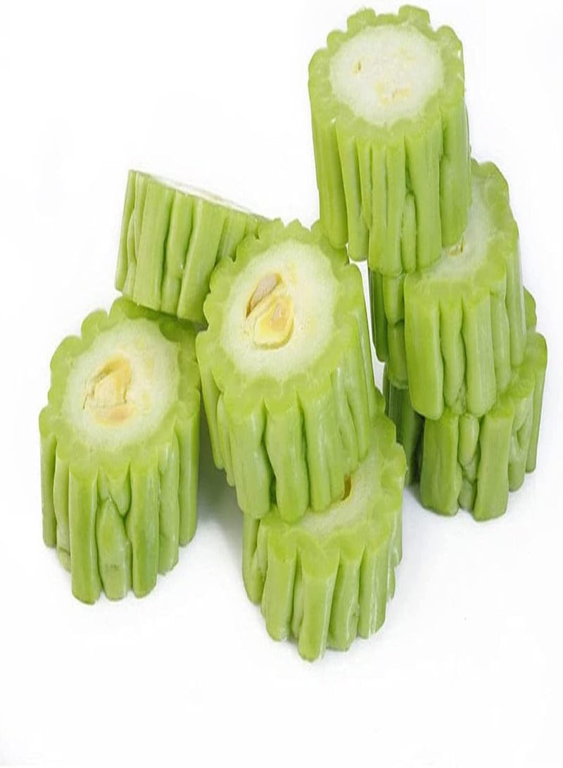 جي جوت 30Stück Bitterkürbis Samen Günes umweltfreundliches Gemüse einzigartige natürliche Schönheit frisches Aroma schaffen eine Elegant und ruhige Atmosphäre - Image 2