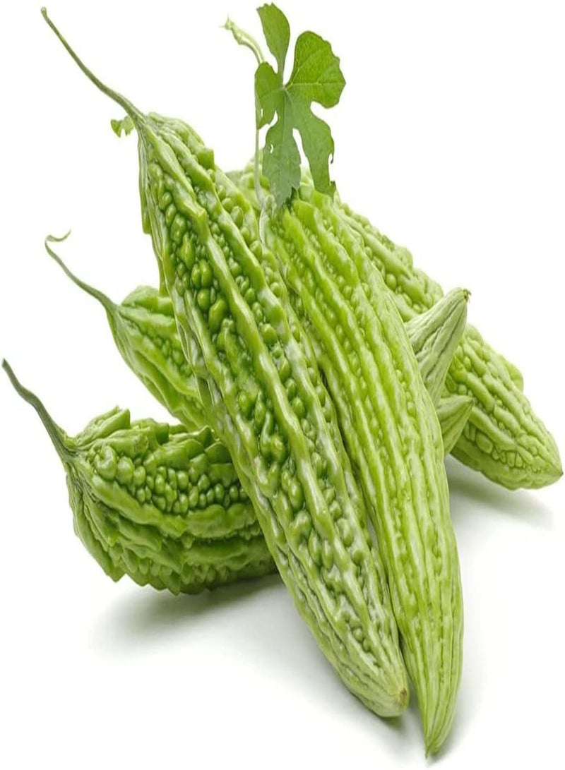جي جوت 30Stück Bitterkürbis Samen Günes umweltfreundliches Gemüse einzigartige natürliche Schönheit frisches Aroma schaffen eine Elegant und ruhige Atmosphäre - Image 1