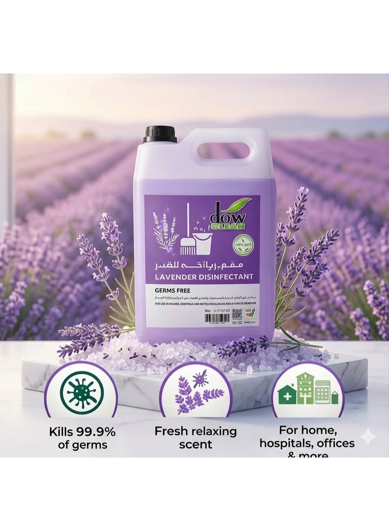 DowClean Lavender Disinfectant Surface Cleaner, Multi-Purpose Germ Killer for Homes, Hospitals, and Hotels, Fresh Scent, 5 Liters - Image 2