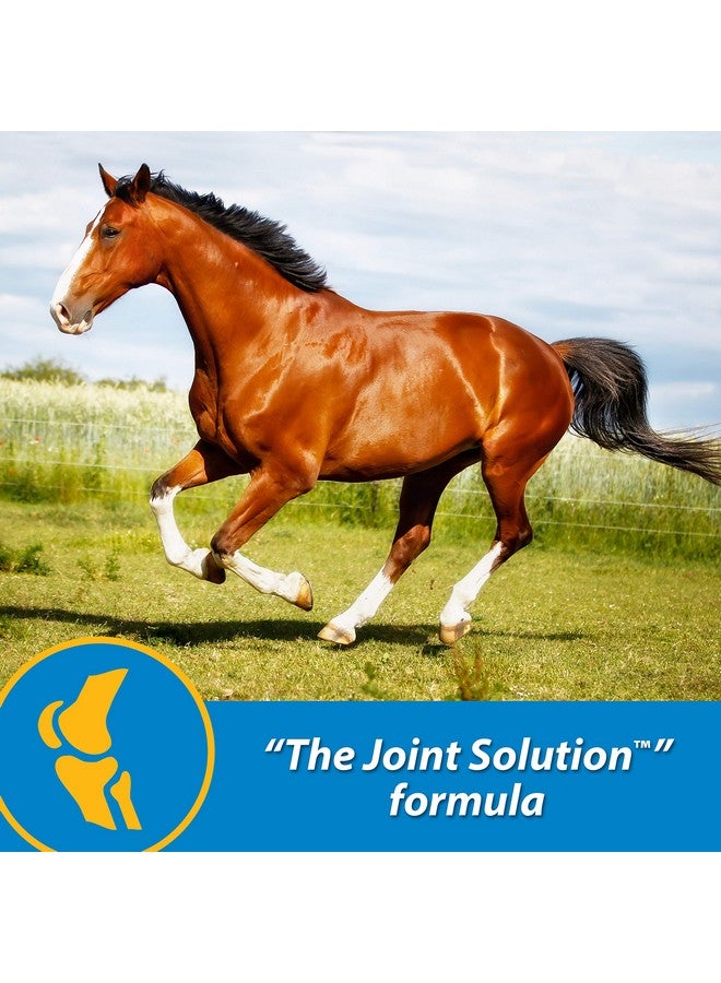 Farnam Fluidflex Liquid Joint Supplement for Horses, Helps Maintain Healthy Hip & Joint Function, 32 Ounces 32 Day Supply - Image 2