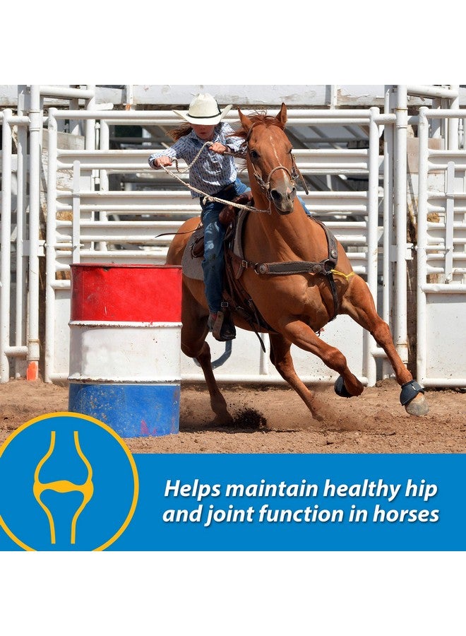 Farnam Fluidflex Liquid Joint Supplement for Horses, Helps Maintain Healthy Hip & Joint Function, 32 Ounces 32 Day Supply - Image 3