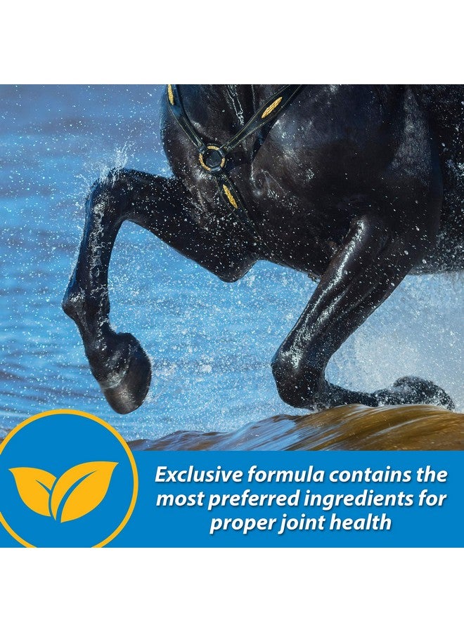 Farnam Fluidflex Liquid Joint Supplement for Horses, Helps Maintain Healthy Hip & Joint Function, 32 Ounces 32 Day Supply - Image 5