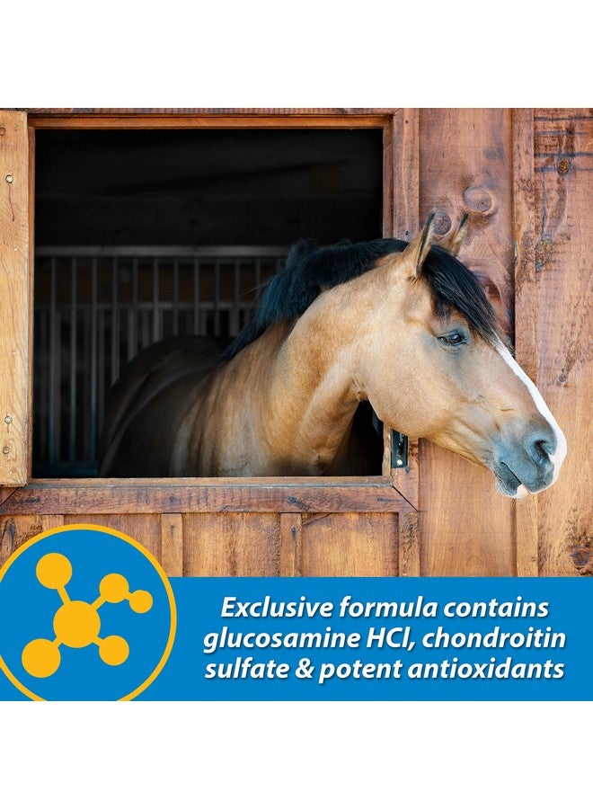 Farnam Fluidflex Liquid Joint Supplement for Horses, Helps Maintain Healthy Hip & Joint Function, 32 Ounces 32 Day Supply - Image 4