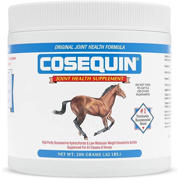 Nutramax Laboratories Original Joint Health Supplement for Horses - Powder with Glucosamine and Chondroitin, 280 Grams - Image 1
