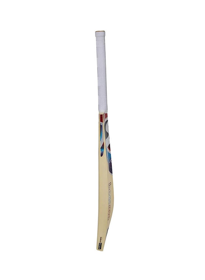SG Max Cover Kashmir Willow Cricket Bat Size: Size 5 - Image 2