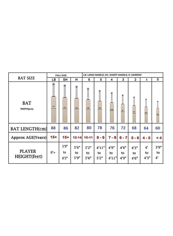 SG Max Cover Kashmir Willow Cricket Bat Size: Size 5 - Image 4