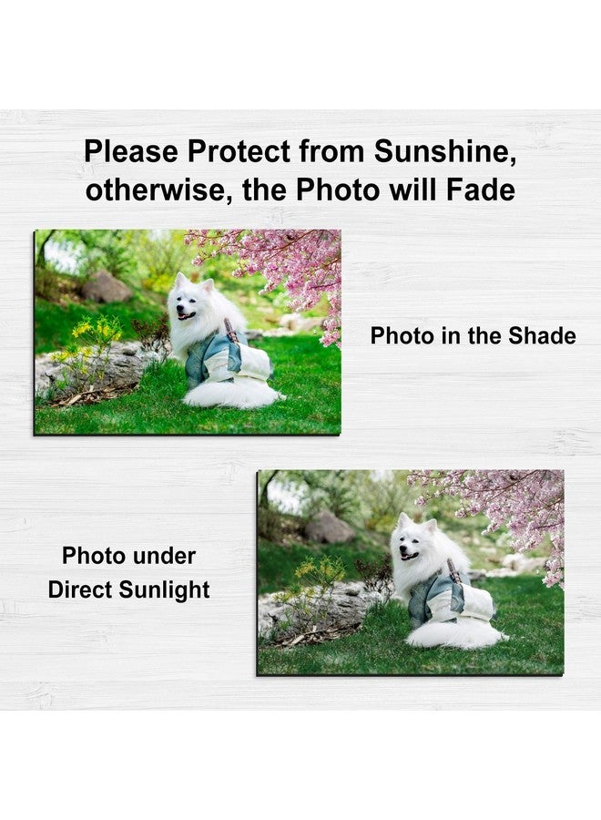 Printable Magnetic Sheets Make Refrigerator Photo Magnet Glossy Print Paper 12Mil Thickness For Inkjet Printers 8.5X 11 Inches 12 Sheets